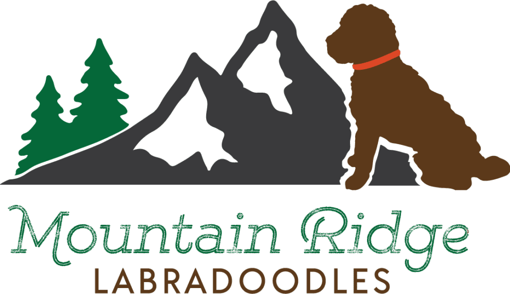 Mountain_Ridge Logo